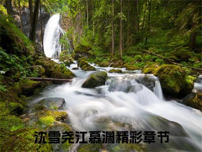 沈雪尧江慕渊全文（沈雪尧江慕渊）全文免费阅读无弹窗大结局_沈雪尧江慕渊全文最新章节列表_笔趣阁（沈雪尧江慕渊）