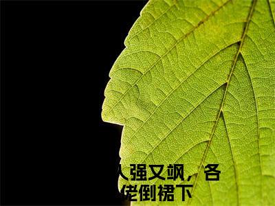 笨蛋美人强又飒，各路大佬倒裙下全文免费阅读无弹窗大结局_(林曦陆彦免费阅读)笨蛋美人强又飒，各路大佬倒裙下最新章节列表_笔趣阁