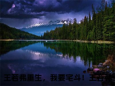 王若弗重生，我要宅斗！王若弗全文（王若弗重生，我要宅斗！王若弗）完整版小说阅读_王若弗重生，我要宅斗！王若弗全本列表免费笔趣阁（王若弗重生，我要宅斗！王若弗）