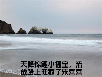 天降锦鲤小福宝，流放路上旺疯了朱喜喜（天降锦鲤小福宝，流放路上旺疯了朱喜喜）全文免费阅读无弹窗大结局_天降锦鲤小福宝，流放路上旺疯了朱喜喜全文在线阅读