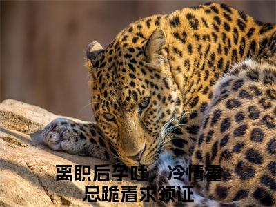 霍闻璟姜鲤(离职后孕吐，冷情霍总跪着求领证)全文在线阅读无弹窗_霍闻璟姜鲤小说全文大结局