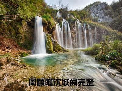 周顾瞻沈城阙小说全文 周顾瞻沈城阙小说免费阅读大结局