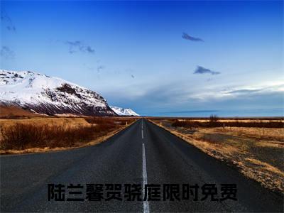 陆兰馨贺骁庭笔趣阁免费小说-主角为陆兰馨贺骁庭的小说全文在线赏析