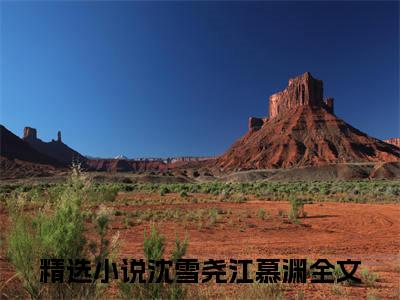 沈雪尧江慕渊(沈雪尧江慕渊)全文免费阅读无弹窗大结局_（沈雪尧江慕渊）沈雪尧江慕渊免费阅读无弹窗最新章节列表_笔趣阁（沈雪尧江慕渊）