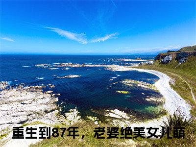 陆浩苏敏全文免费在线阅读_（重生到87年，老婆绝美女儿萌免费阅读无弹窗）陆浩苏敏全文免费完结版阅读