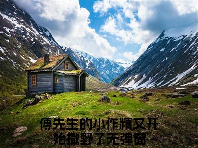 傅君辞苏慕晚小说限时免费,傅先生的小作精又开始撒野了完结版小说阅读无弹窗_笔趣阁