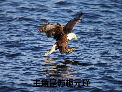 苏栀元瑾全本小说无弹窗阅读-苏栀元瑾（苏栀元瑾）精彩热门小说