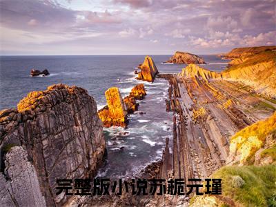 苏栀元瑾免费阅读（苏栀元瑾）全文免费阅读无弹窗大结局_苏栀元瑾免费阅读最新章节列表_笔趣阁（苏栀元瑾）