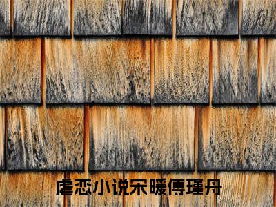 宋暖傅瑾舟人气小说在线阅读,宋暖傅瑾舟正版小说全文阅读