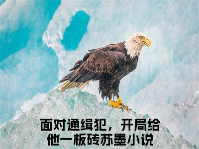 面对通缉犯，开局给他一板砖苏墨（面对通缉犯，开局给他一板砖苏墨小说）小说全文免费阅读无弹窗大结局_（面对通缉犯，开局给他一板砖苏墨）面对通缉犯，开局给他一板砖苏墨最新章节列表_笔趣阁