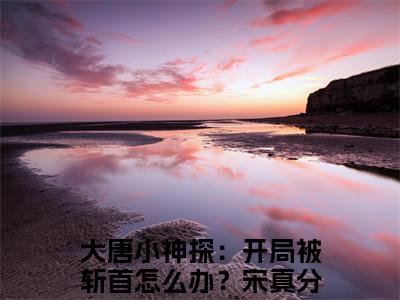 大唐小神探：开局被斩首怎么办？宋真全文免费在线阅读_（大唐小神探：开局被斩首怎么办？宋真免费阅读无弹窗）大唐小神探：开局被斩首怎么办？宋真全文免费完结版阅读