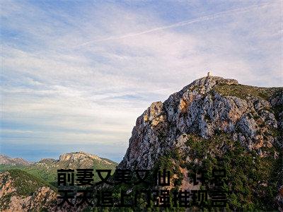 许荡闻笙多人追的小说在哪里可以看 前妻又美又仙，许总天天追上门小说免费阅读全章节