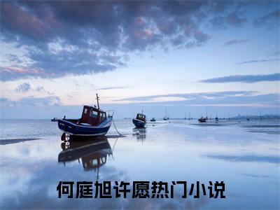 何庭旭许愿小说（何庭旭许愿）全文免费阅读无弹窗大结局_何庭旭许愿最新章节列表_笔趣阁（何庭旭许愿）