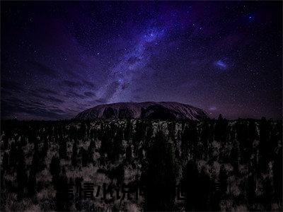 抖音小说（何庭旭许愿）主角是（何庭旭许愿）全文完整版免费阅读最新章节列表_笔趣阁
