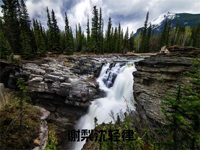 谢梨沈轻律小说最新章节阅读-小说（谢梨沈轻律）已完结小说精彩大结局