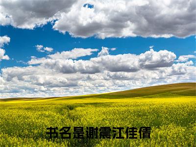 谢震江佳倩（亲错了，那可是活阎王）全文免费阅读无弹窗大结局_（亲错了，那可是活阎王）最新章节