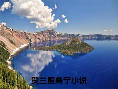 新上热文贺兰殷桑宁-贺兰殷桑宁在线阅读的小说完整版