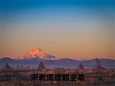 宋希周彦朝（宋希周彦朝）最新完结免费阅读-（宋希周彦朝）悬疑小说在线阅读