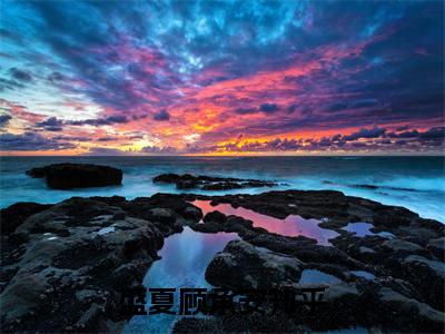 盛夏顾承安小说免费阅读-盛夏顾承安最新章节小说阅读-笔趣阁
