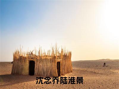 沈念乔陆淮景（沈念乔陆淮景全文免费阅读）小说最新章节_沈念乔陆淮景全文免费阅读最新章节列表