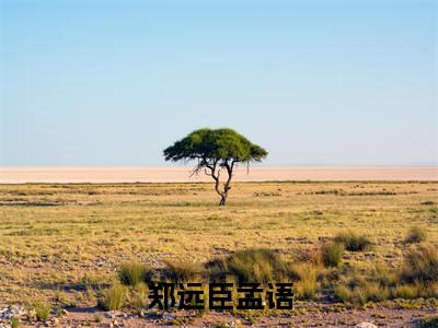 郑远臣孟语全文免费(郑远臣孟语)全集小说完整版大结局-郑远臣孟语全文阅读无弹窗