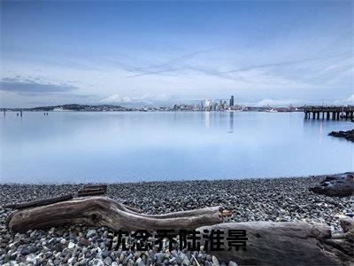 沈念乔陆淮景小说最新章节-沈念乔陆淮景在线阅读