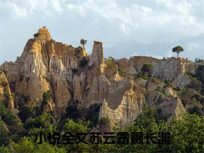 苏云霜嬴长渊（苏云霜嬴长渊）完整版小说免费阅读全文-苏云霜嬴长渊最新在线阅读