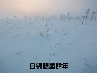 白锦瑟墨肆年（白锦瑟墨肆年）全文免费阅读无弹窗大结局_白锦瑟墨肆年最新章节列表_笔趣阁（白锦瑟墨肆年）