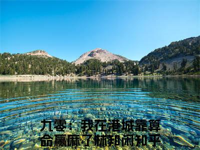 九零：我在港城靠算命赢麻了林知闲全文免费最后一章在线阅读 九零：我在港城靠算命赢麻了林知闲全文小说完整版