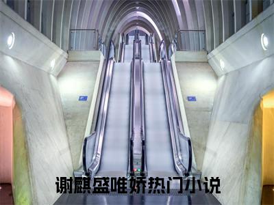 谢麒盛唯娇新上热文小说讲的是什么-谢麒盛唯娇全文完整版免费阅读