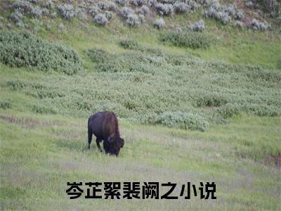 岑芷絮裴阙之全文免费完整版,岑芷絮裴阙之最新章节完整版阅读