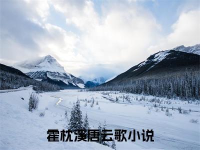 霍枕溪唐云歌小说推荐-霍枕溪唐云歌在线阅读无删版