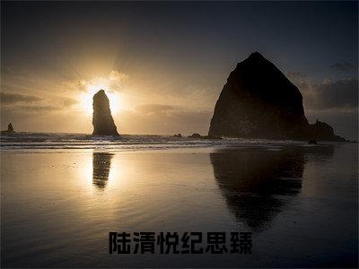 陆清悦纪思臻全文免费阅读无弹窗大结局-陆清悦纪思臻 全文全章节免费阅读