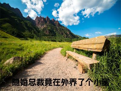 沈泊简蒋为颜全文免费完整版-小说沈泊简蒋为颜（隐婚总裁竟在外养了个小蜜）已完结全集大结局