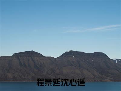 姑父，我要打结婚报告(程景延沈心遥)全文免费读无弹窗大结局_程景延沈心遥免费小说无弹窗最新章节列表