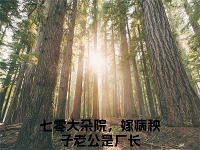 七零大杂院，嫁病秧子老公是厂长（盛启晖苏舸）全文免费阅读无弹窗大结局_(七零大杂院，嫁病秧子老公是厂长)盛启晖苏舸免费阅读无弹窗最新章节列表