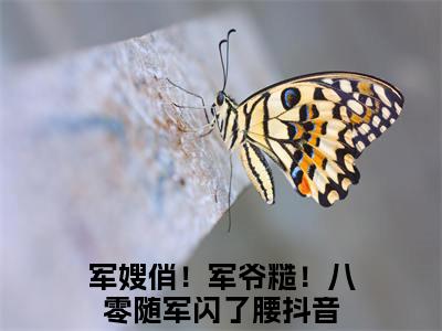 江宁秦九烈军嫂俏！军爷糙！八零随军闪了腰小说结局-江宁秦九烈全文无弹窗阅读