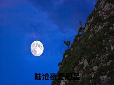 陆沧夜夏恩星最新章节（陆沧夜夏恩星）全文免费阅读无弹窗大结局_陆沧夜夏恩星小说全文免费阅读正版无弹窗_笔趣阁