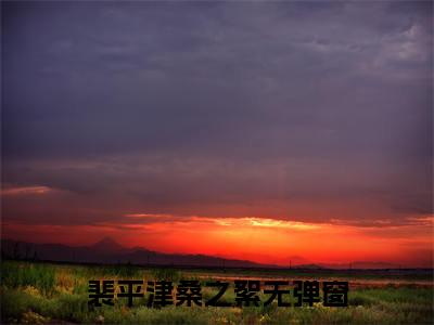 小说(裴平津桑之絮)免费阅读-珍藏美文读物裴平津桑之絮