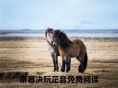 秦暮决阮芷音（年少的欢喜与心动只能藏于心底）全文免费阅读无弹窗-年少的欢喜与心动只能藏于心底主角叫秦暮决阮芷音的小说全章节免费阅读