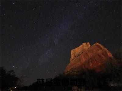 再爱我也不想继续了是什么小说-（林星蛮傅司野全文阅读）最新章节列表