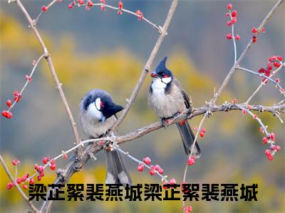 梁芷絮裴燕城(梁芷絮裴燕城)全文无弹窗大结局_梁芷絮裴燕城在线阅读无弹窗最新章节列表_笔趣阁