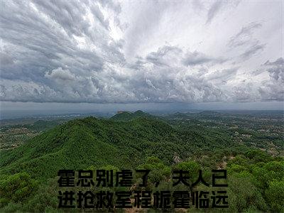 霍总别虐了，夫人已进抢救室(程栀霍临远)小说免费阅读无弹窗完整版_(程栀霍临远)霍总别虐了，夫人已进抢救室最新章节列表笔趣阁