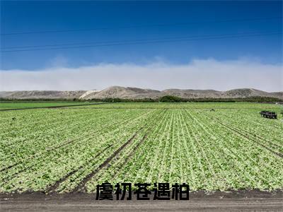 虞初苍遇柏(虞初苍遇柏)全文免费读无弹窗大结局_虞初苍遇柏免费阅读全文大结局最新章节列表_笔趣阁