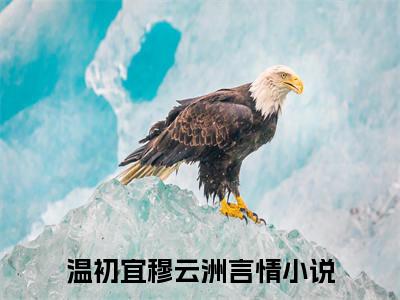 温初宜穆云洲（温初宜穆云洲）全文免费阅读无弹窗_温初宜穆云洲最新小说_笔趣阁（温初宜穆云洲）