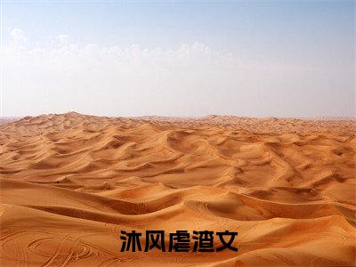 我只想在幕后当一只黑手（沐风）最新小说全文阅读-2023热点小说我只想在幕后当一只黑手（沐风）最新章节免费阅读