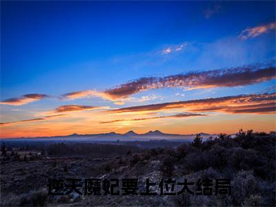 小说慕芊九君无邪完整版在线阅读 逆天魔妃要上位精选小说推荐试读