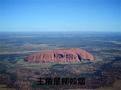 医女太撩人：王爷休书请拿好是什么小说 柳如烟正版小说免费阅读_笔趣阁