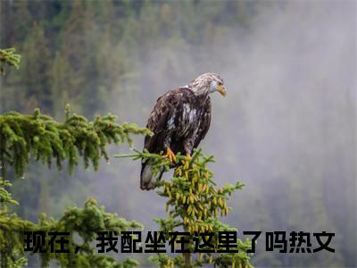 现在，我配坐在这里了吗（季深叶无双）是什么小说_主角是（现在，我配坐在这里了吗）的小说（季深叶无双）最新章节无弹窗阅读