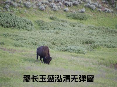 穆长玉盛泓清穆长玉盛泓清免费小说 穆长玉盛泓清全文无弹窗完整版阅读